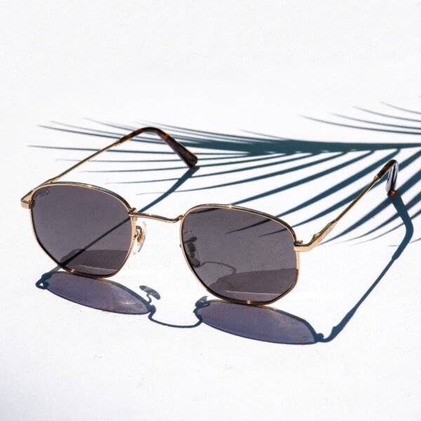 Bexley | Polarized