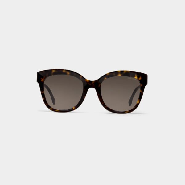 CONSTANCE- Pantos Acetate Sunglasses